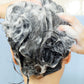 SalonLogic 2 Product Hair Care Set
